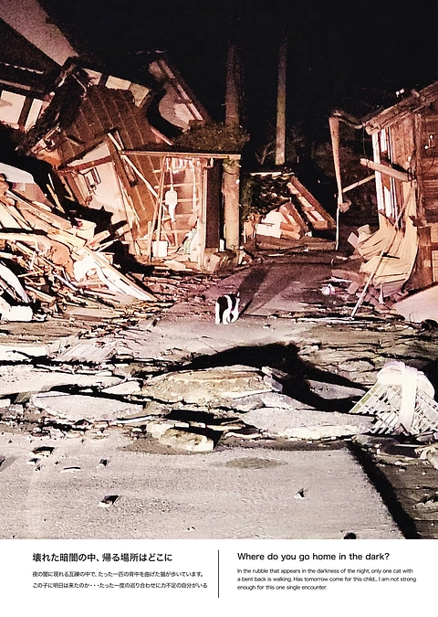 つかねこ〜被災地のパネル展より３〜