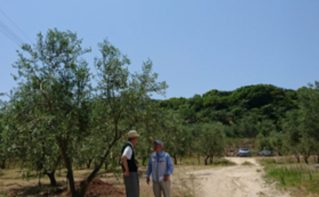 田浦オリーブプロジェクトを応援してください！