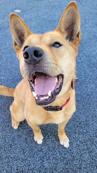 脱走防止‼️‼️