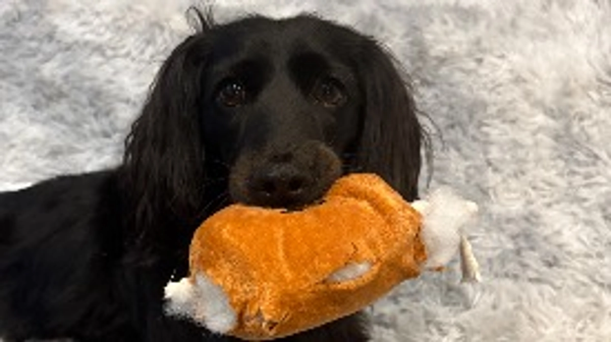 達成ありがとうございました！