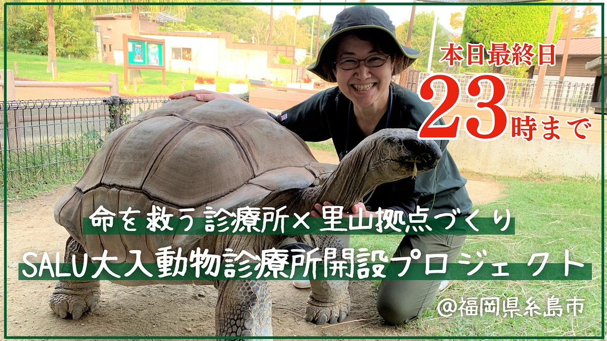 大感謝！！！800万円超えました😿！そしてついにラスト！ご支援は23時までです