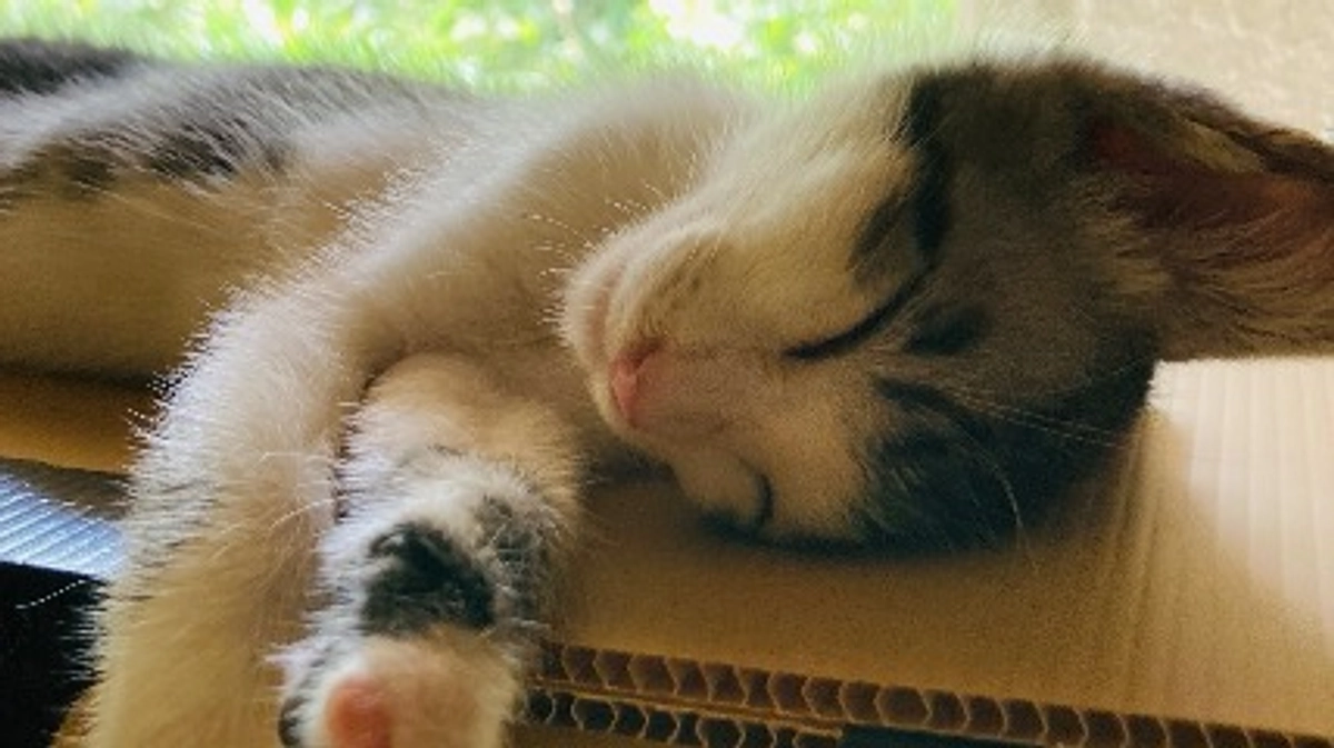 達成ラストスパート。