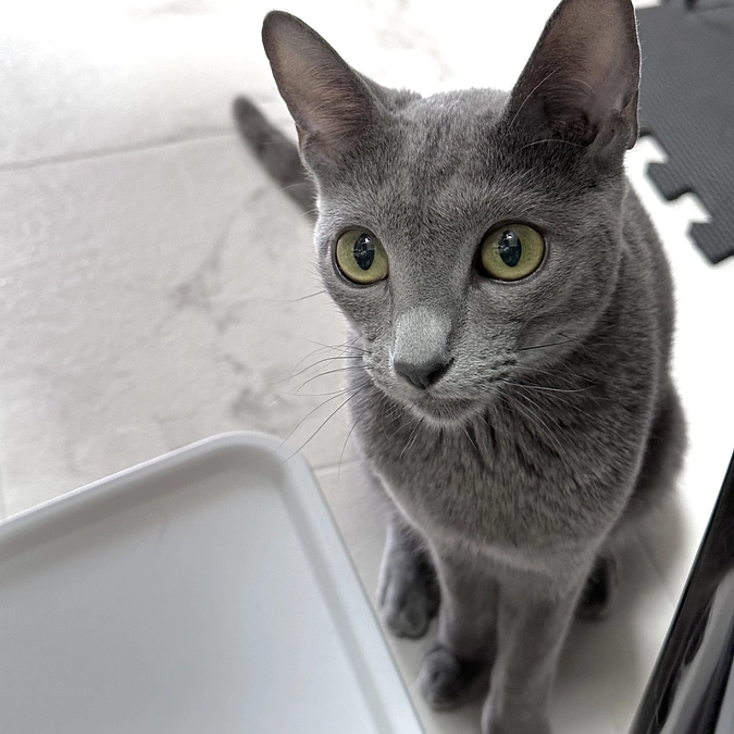 投薬12日目〜14日目