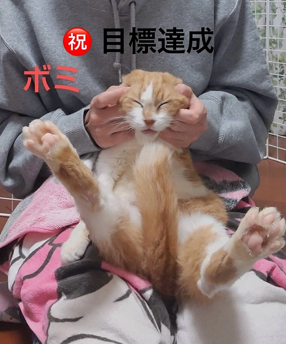 目標達成、ありがとうございました