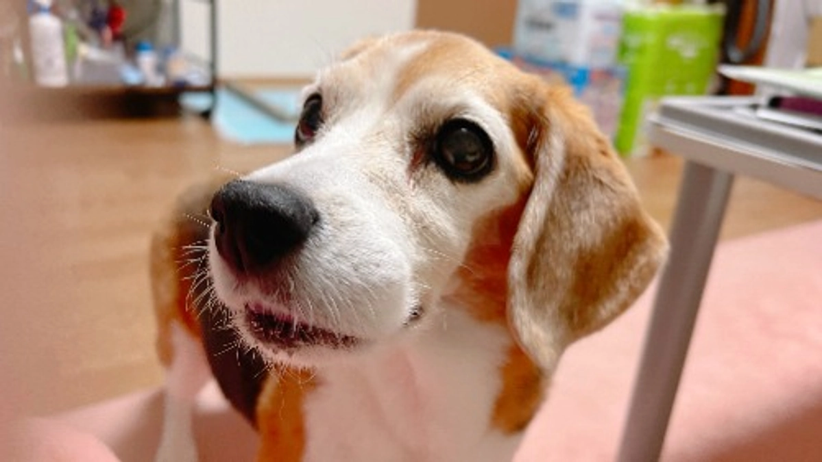 9/30 なかなか安定しないちびっこの体調