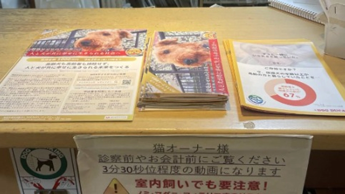 【残り15日！700万到達！】クラファンチラシ設置ご協力店のご紹介！Part２