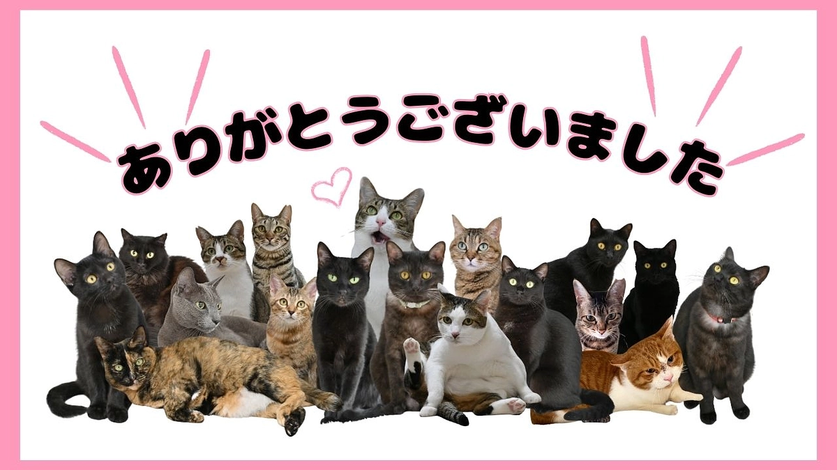 「CATS WELCAREの施設増設プロジェクトをご支援下さった皆様へ」