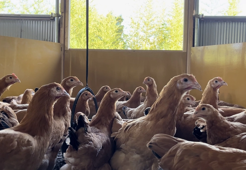 クラウドファンディング終了しました！