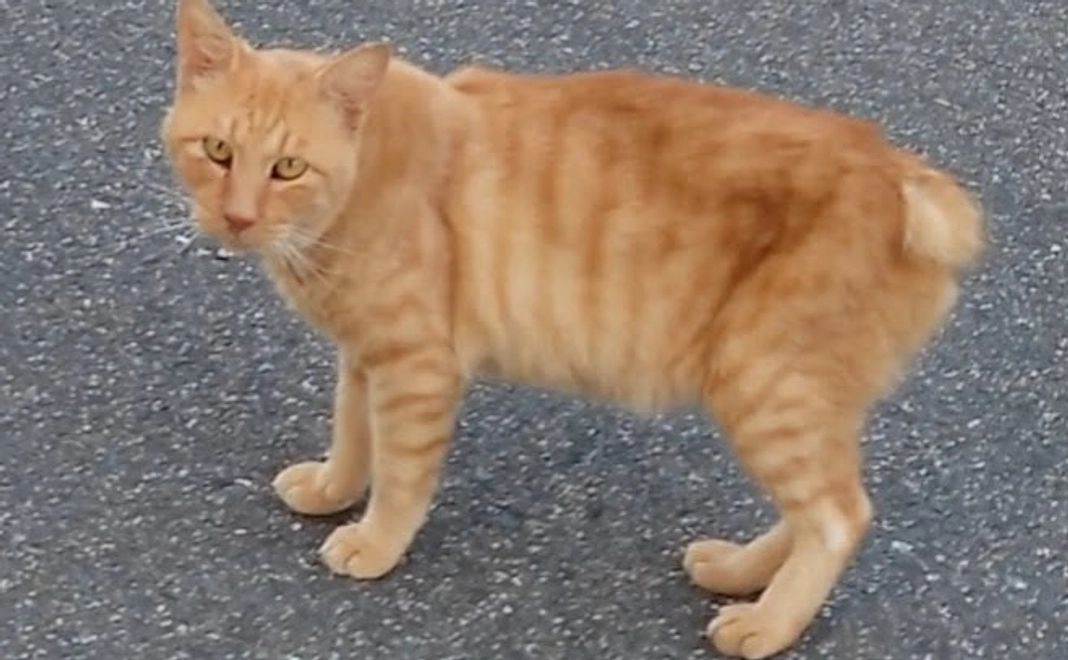 【リターン不要】★ヨッちゃん応援コース★