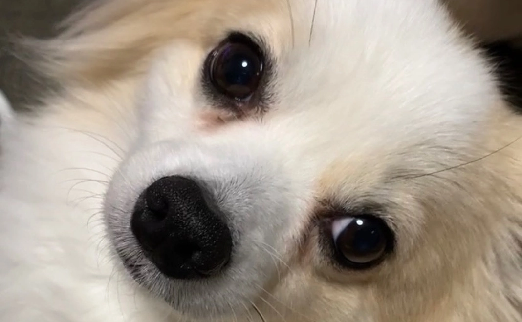 感謝のメール 2