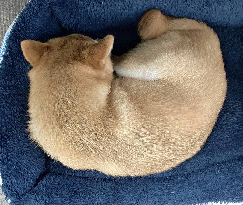 そらはゆっくり眠っています。