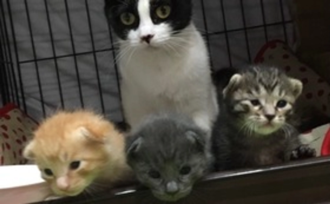 【お気持ち支援：リターン不要な方向け】3,000円応援コース