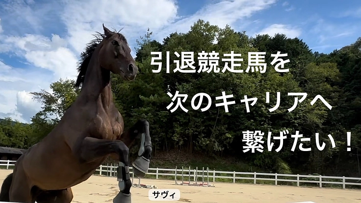 引退競走馬を次のキャリアへ繋げたい！
