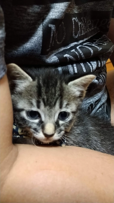 驚きばかりの１日でした。