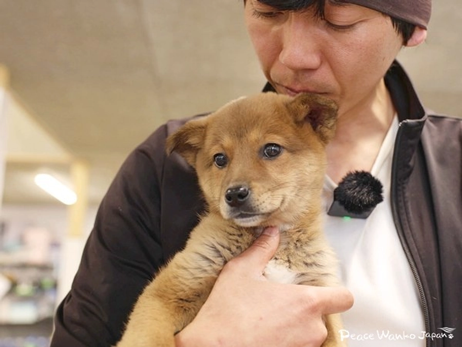 想いは伝わる。命の現場から伝えたいこと