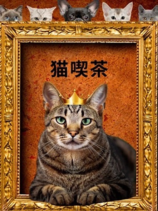 家庭動物管理士★合格❣＋猫カフェ計画？？