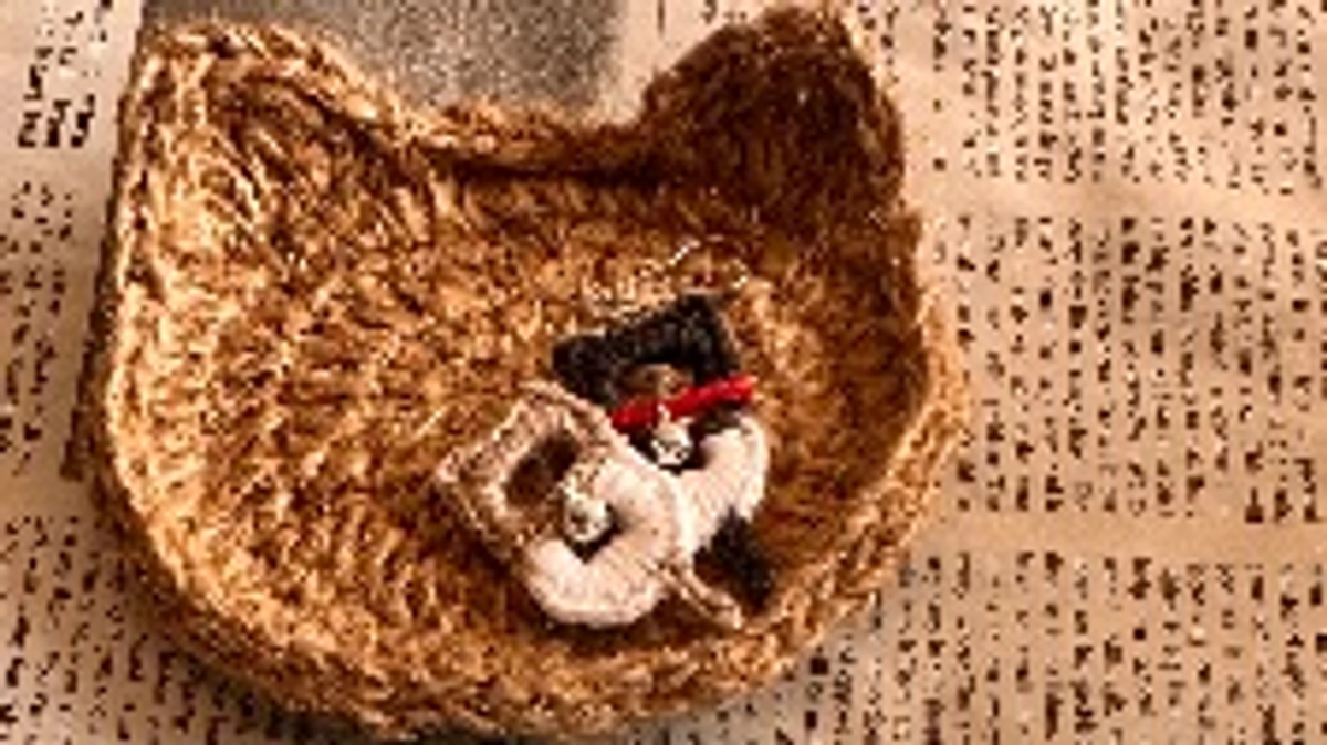 排便のコントロールが必要なわさび