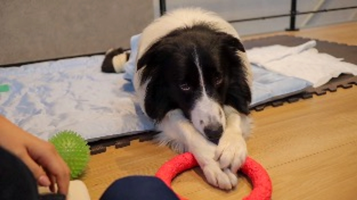 開始から1日、本当にありがとうございます。