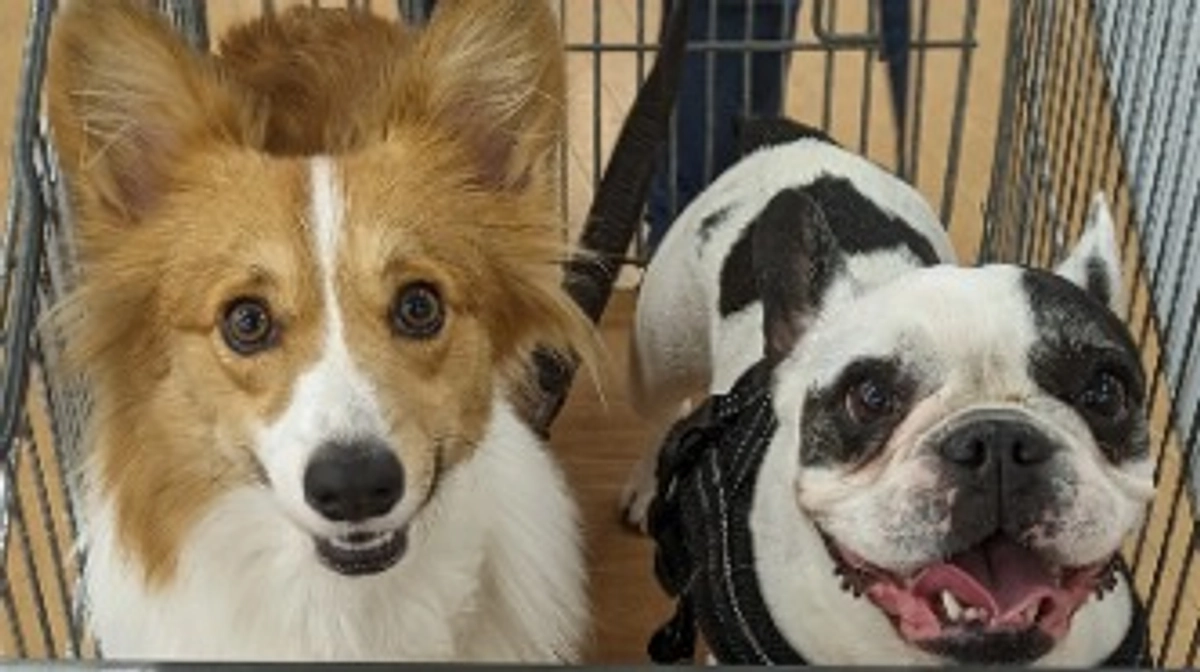 10/19抜糸後の１ヶ月検診に行ってきました。