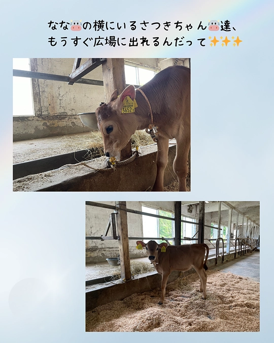 嬉しいお知らせ‼️