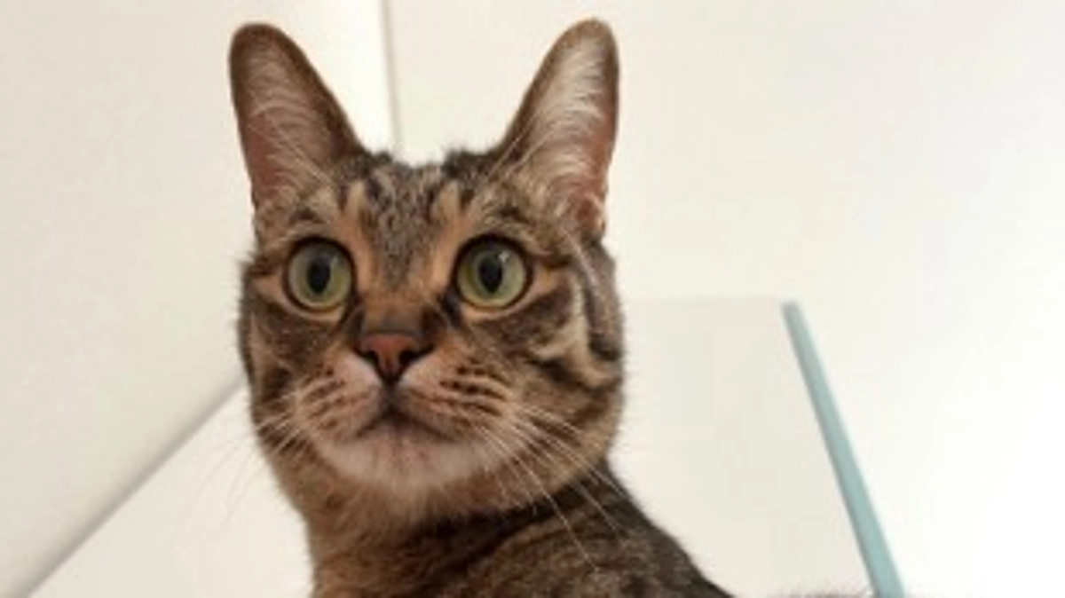 【昨日のなっちゃん】5月27日