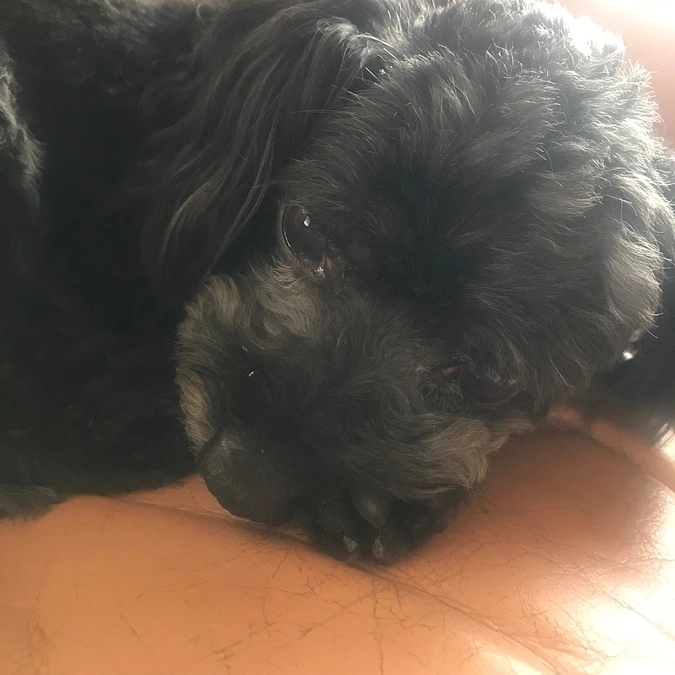 あと3日となりました。