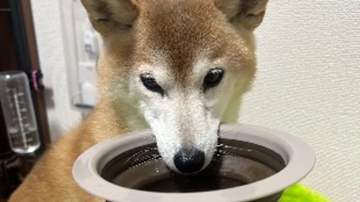 心を閉ざすことで…命が…