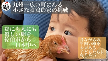 佐伯市から全国へ。九州一広い町にある小さな平飼い養鶏農家の大挑戦！ のトップ画像