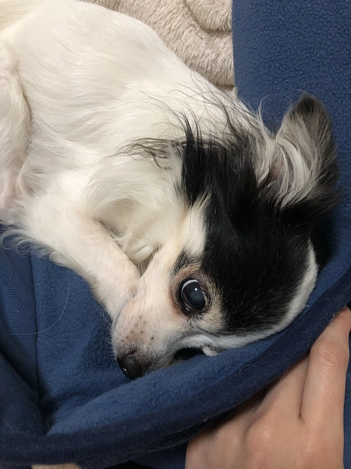 食欲がありませんでした