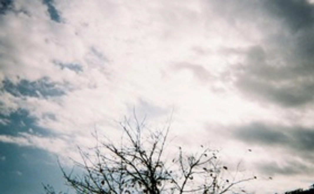 感謝のメールと３色パステルアートで描いた作品（原画ではありません）を一枚、お送りいたします。