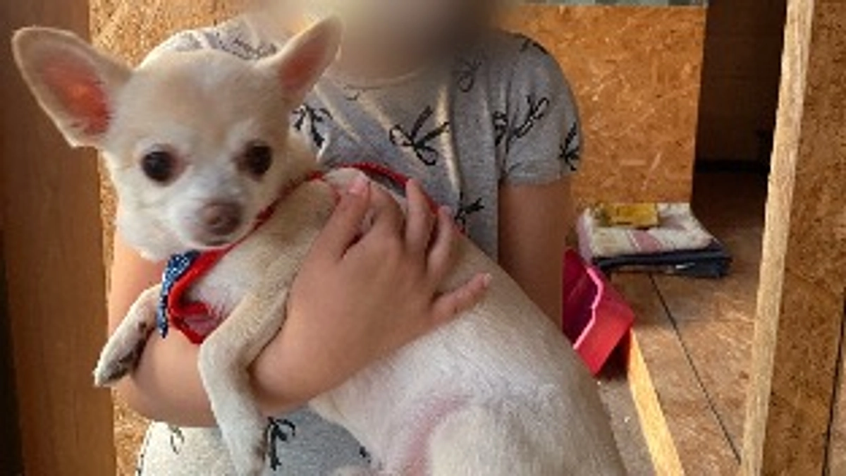 マロンは子供好き？