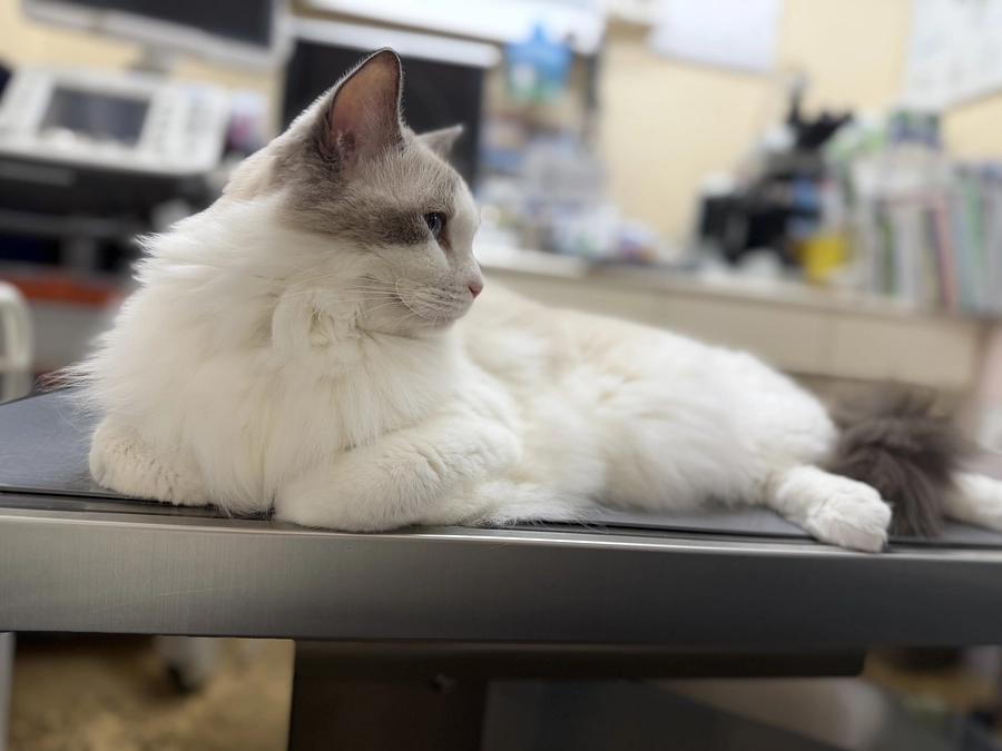 1017 定期検診へ