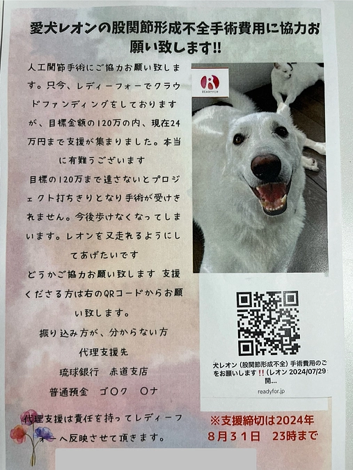 チラシを作りました。