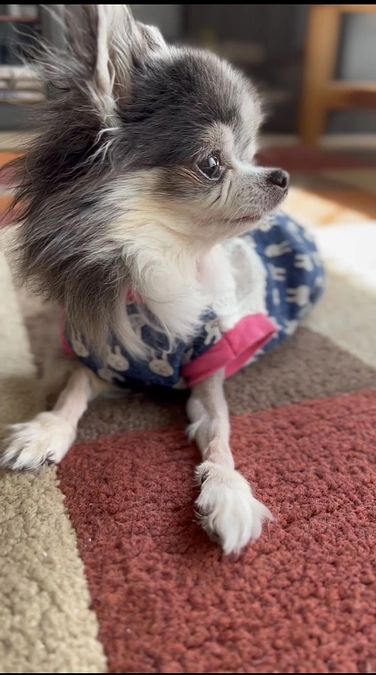 術後初めてのお手入れ