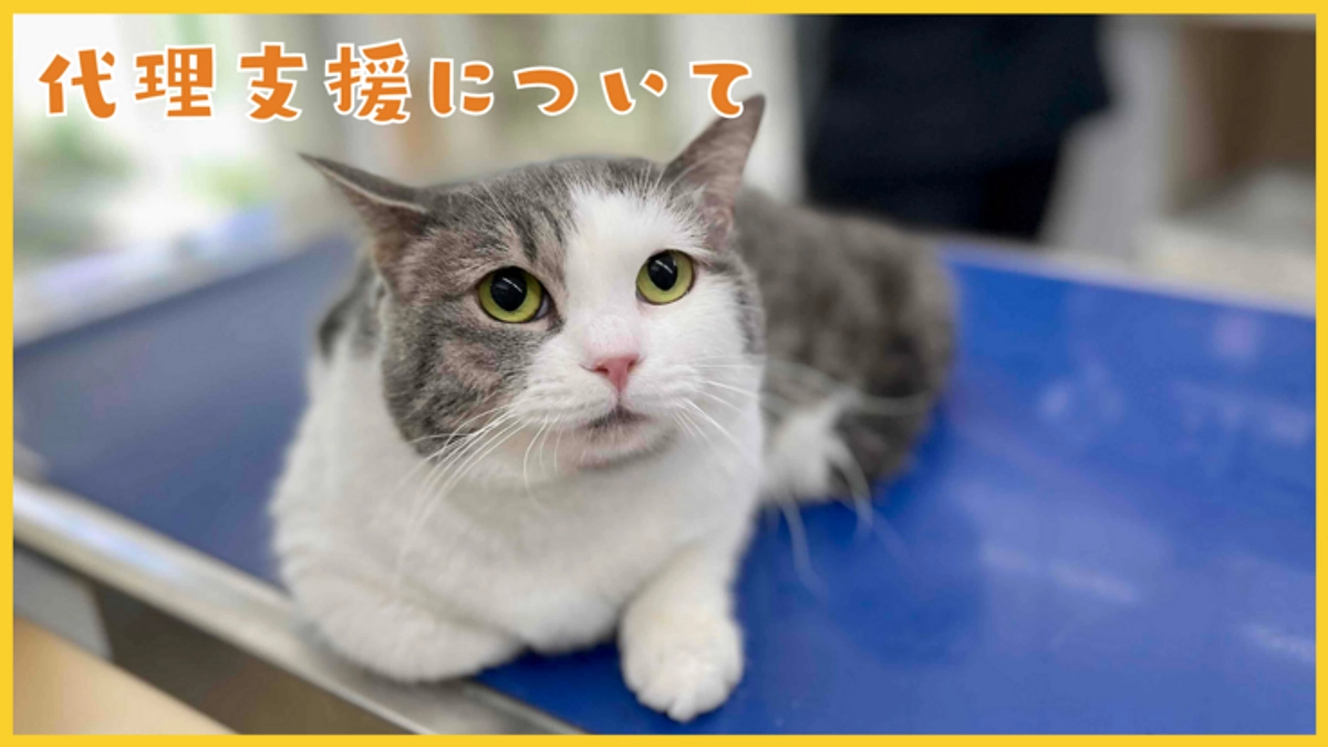 代理支援について 〜インターネットでのご支援が難しい方へ〜
