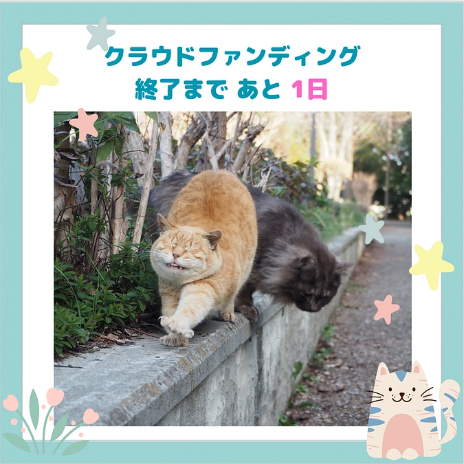 【残り1日！】最後までどうぞよろしくお願いいたします！