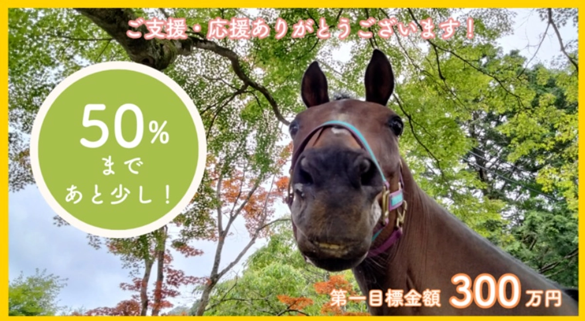 【50％まであと6千円！】あたたかい応援コメントをご紹介させてください！