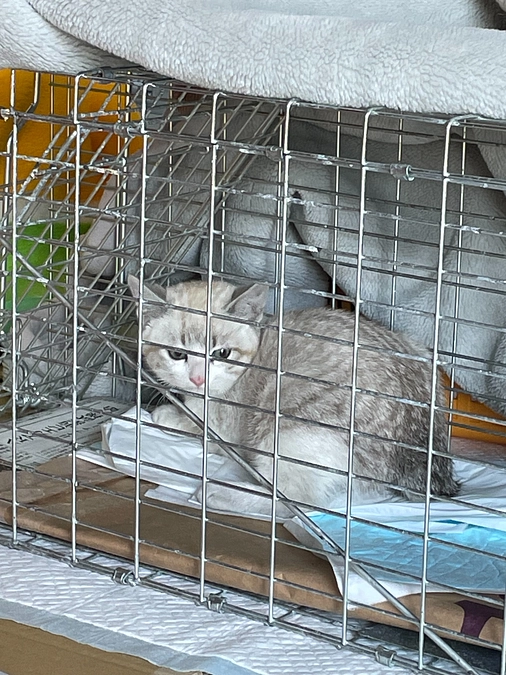 12月の活動報告