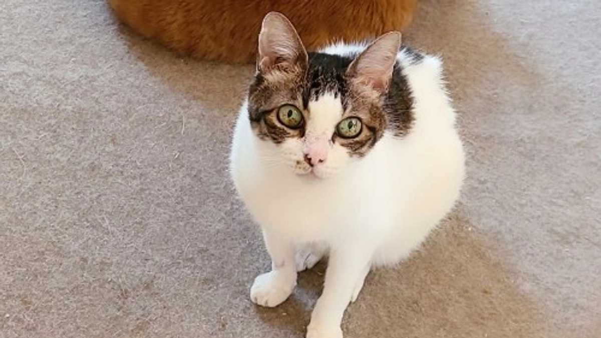 【ご支援金額200万円まで残り6.7万円です！】ご支援物資のお礼📦