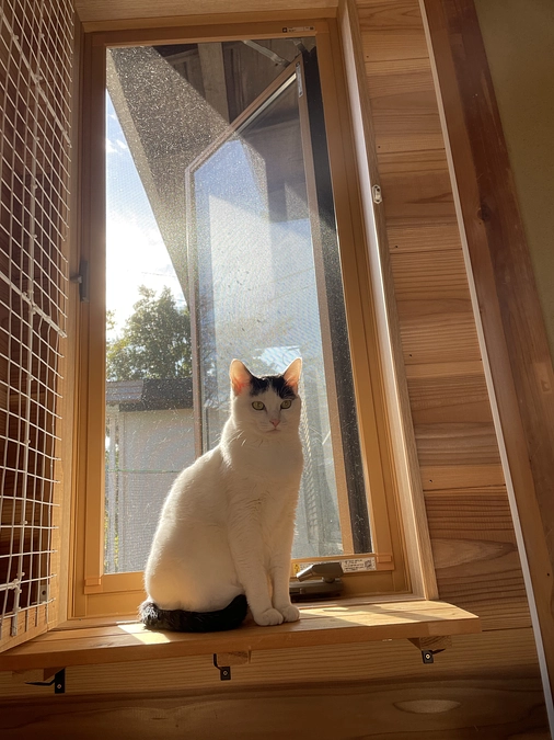 あと10日でカレンダーの予約受付は終了します