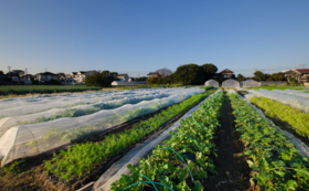 5,000円応援コース