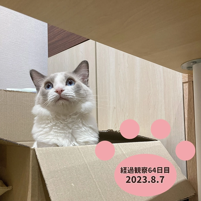 経過観察64日目(2023.8.7)