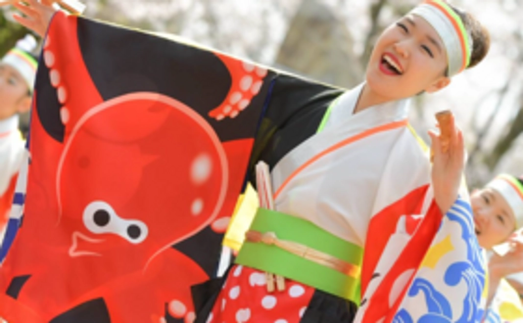 【継続を願って】「よさこい東海道」全力応援コース