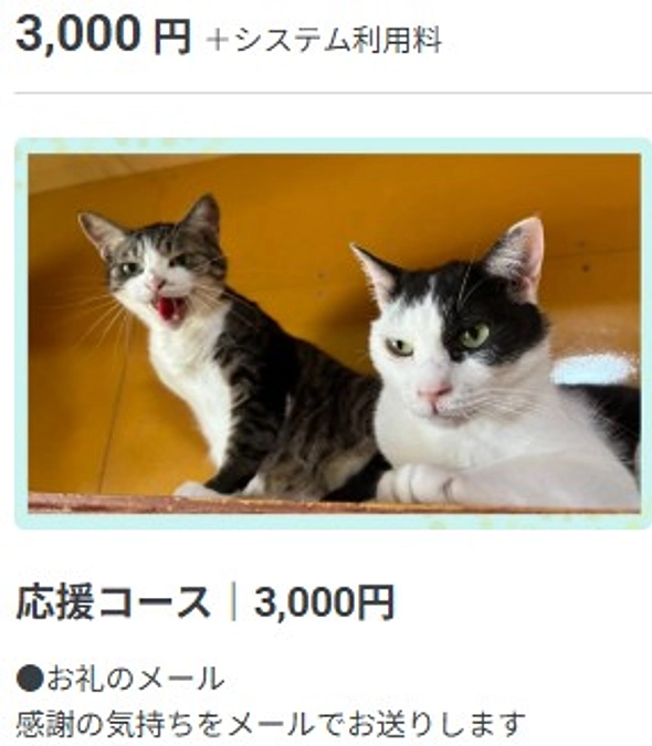 皆様のお声に背中を押され「3000円コース」を新設しました！