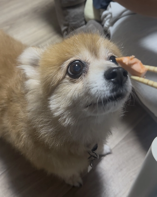 残り18日達成度5 %