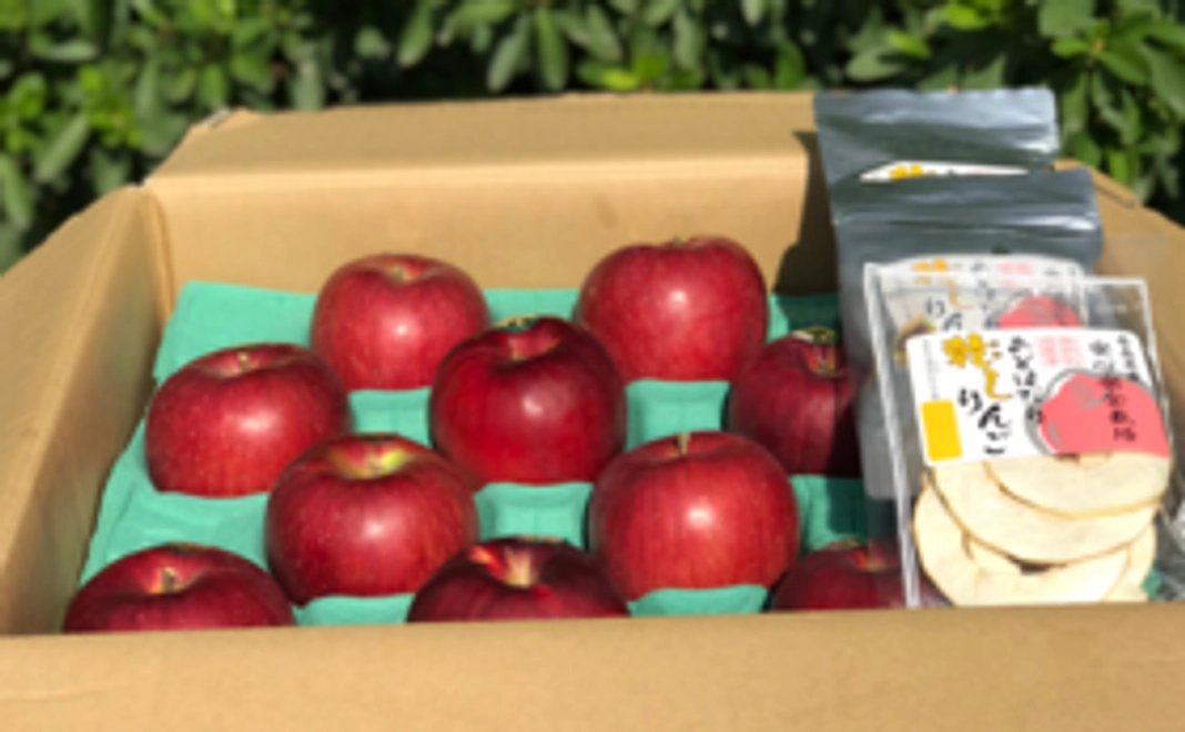 もひかん林檎のオーナー制　特選品　黄色と赤のミックス5㎏（約14~18個）　&　ドライアップル2袋　×　6回