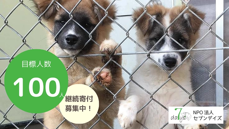 皆様のサポートで救われる命があります