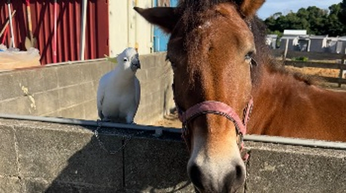 ここまで完成！