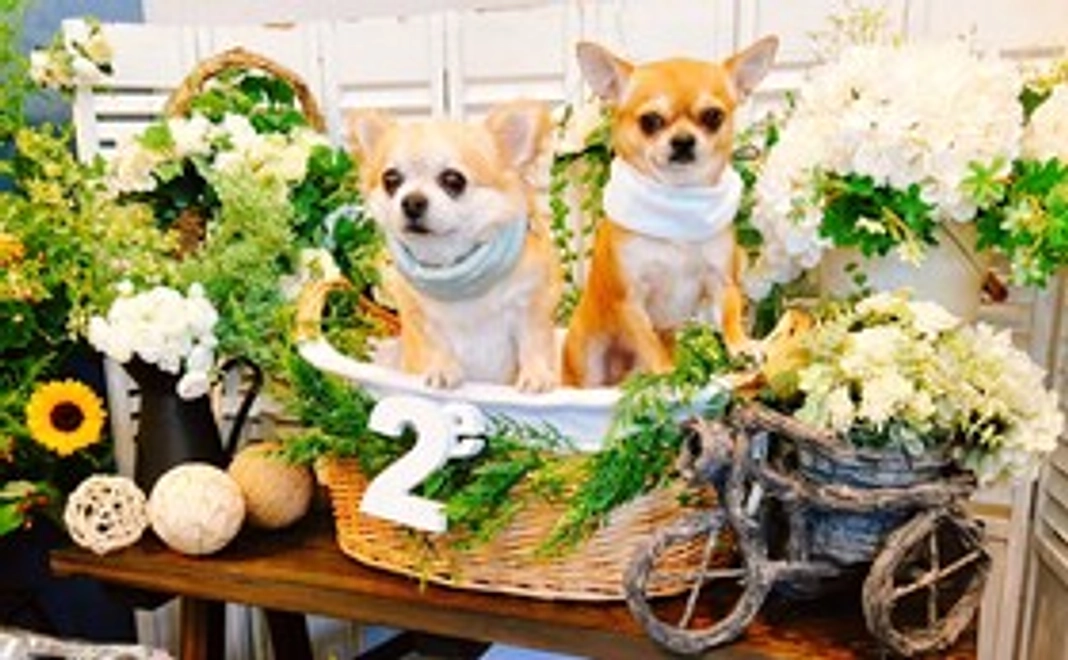 善意のバトンを繋ぎます