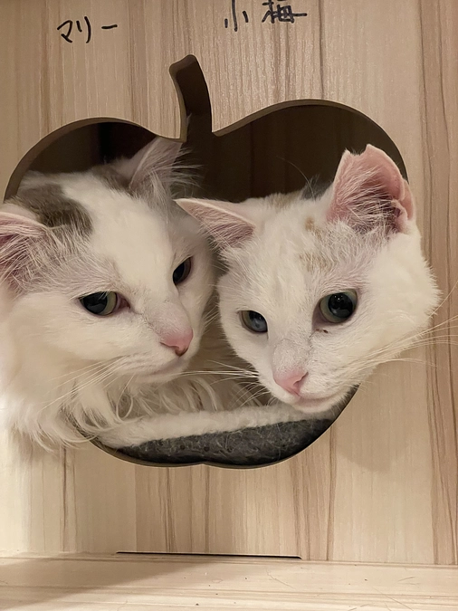 皆様のおかげで幸せに過ごしています